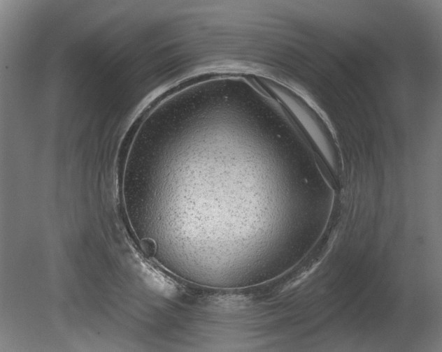 X0000080100837200612151619