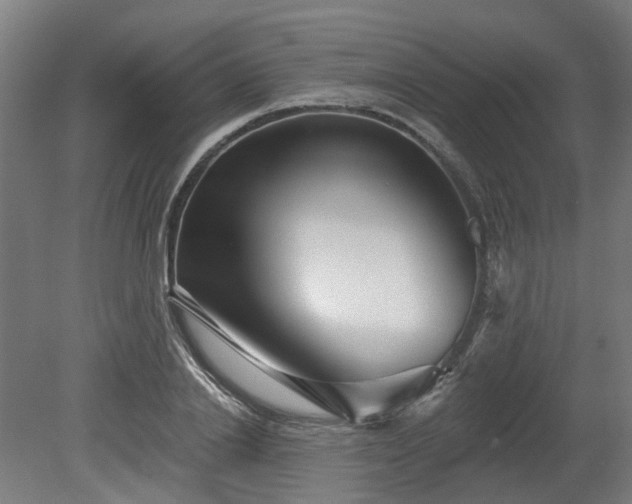 X0000080100838200612151619