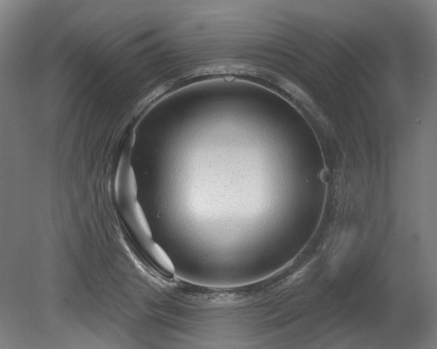 X0000080100841200612151619
