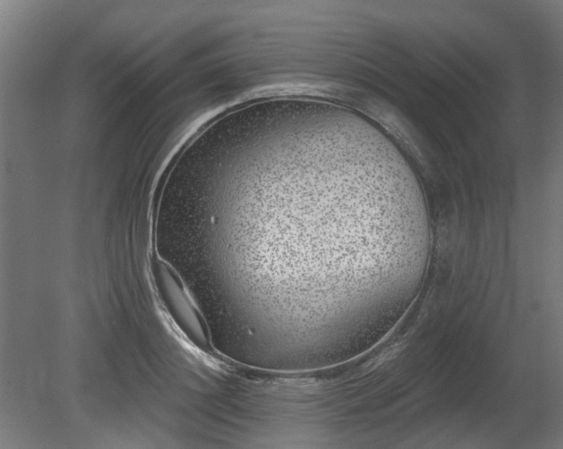 X0000080100844200612151619