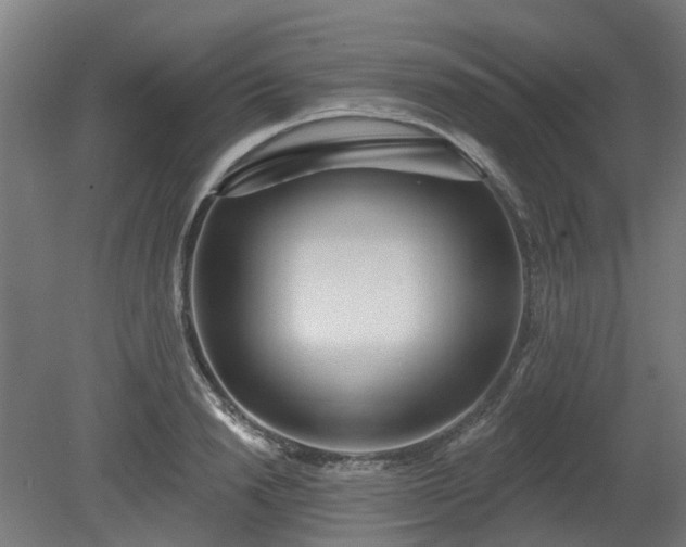 X0000080100846200612151619