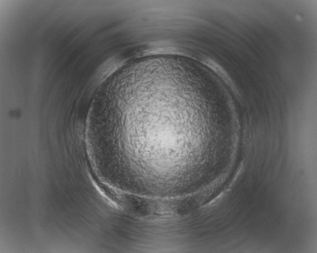 X0000080100849200612151619