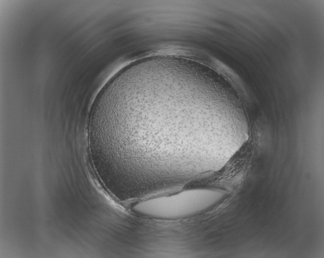 X0000080100852200612151619