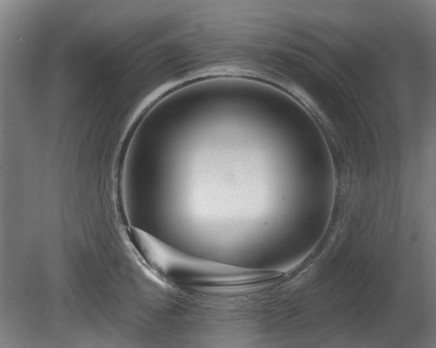 X0000080100854200612151619