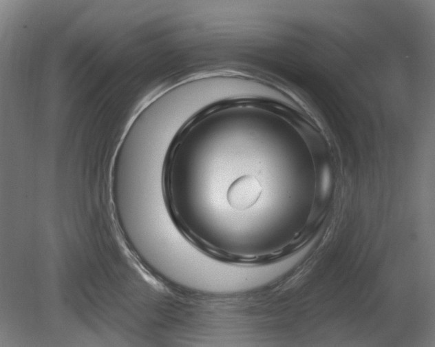 X0000080100858200612151619