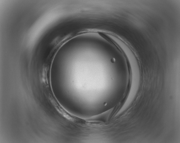 X0000080100862200612151619