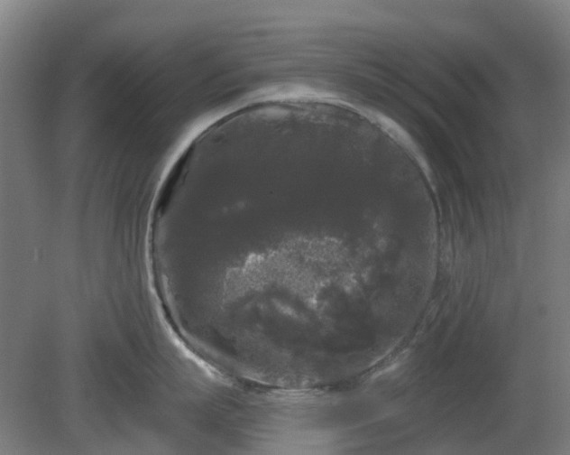 X0000080100863200612151619