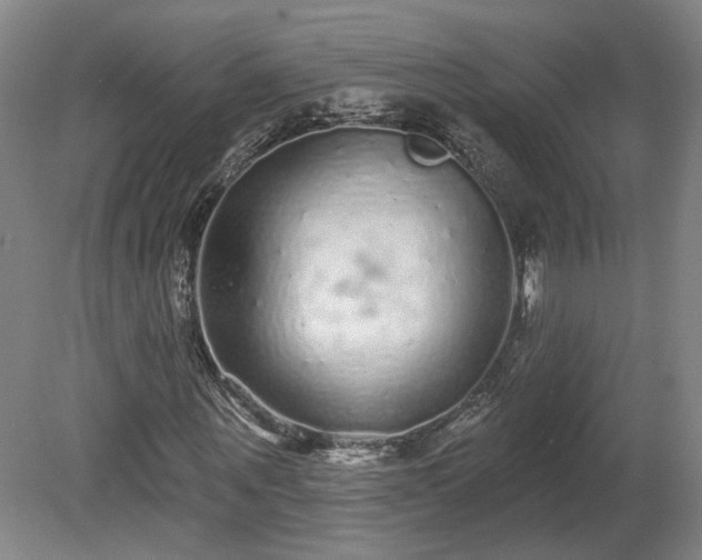 X0000080100867200612151618