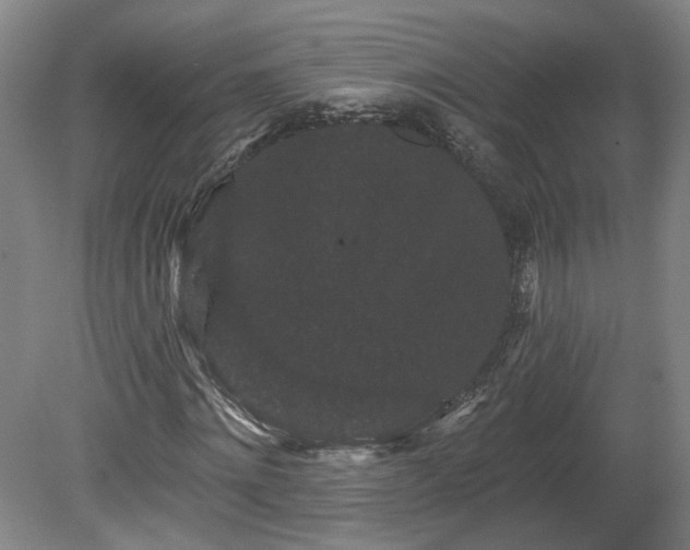 X0000080100868200612151618