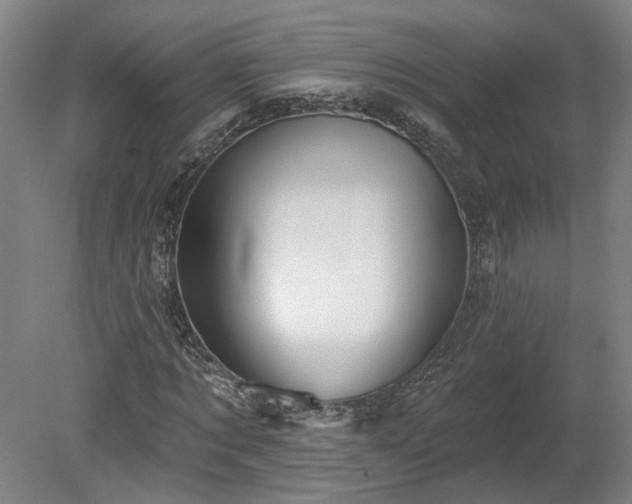 X0000080100869200612151618