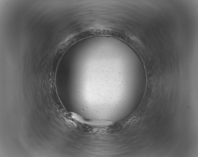 X0000080100870200612151618