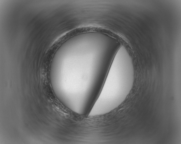 X0000080100872200612151618