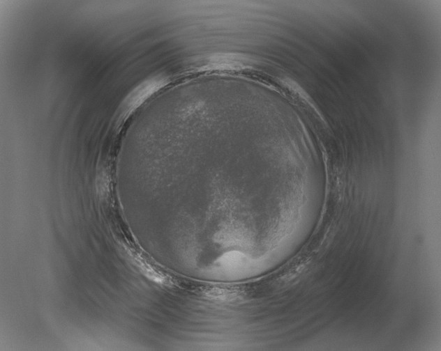 X0000080100874200612151618