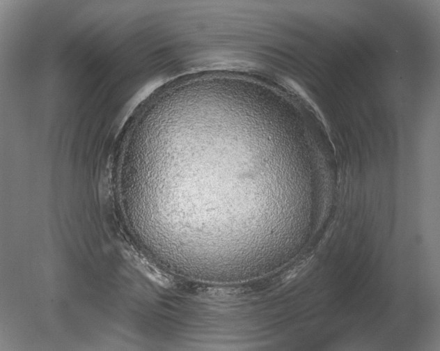 X0000080100875200612151618