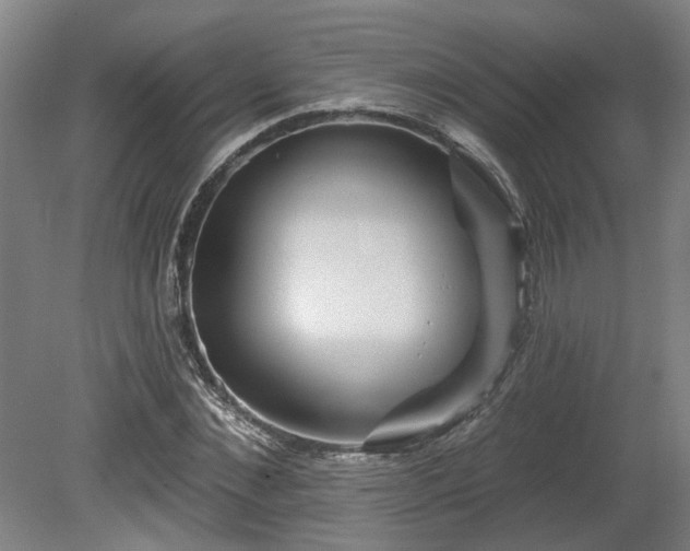 X0000080100876200612151618