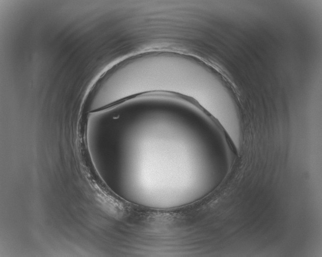 X0000080100880200612151618