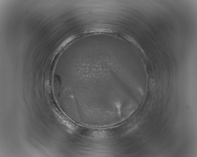 X0000080100882200612151618