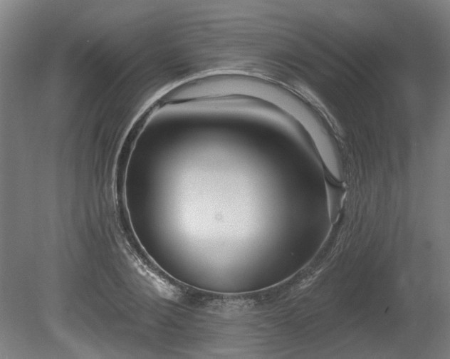 X0000080100884200612151618