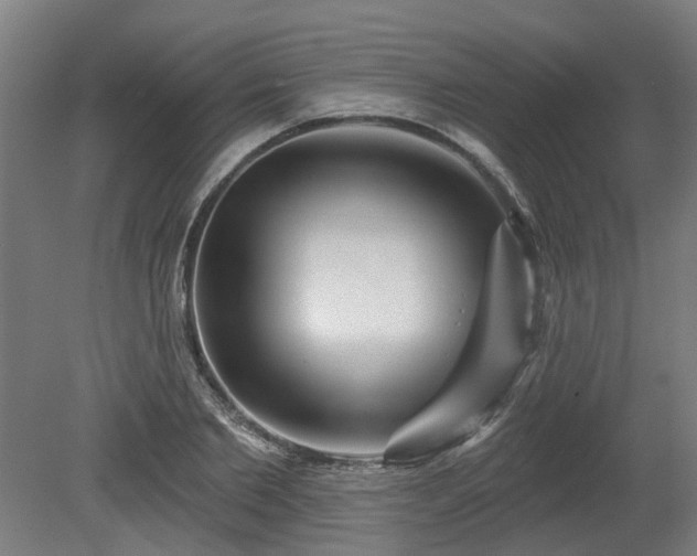 X0000080100885200612151618
