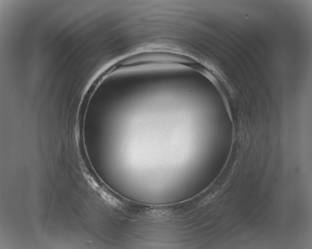 X0000080100888200612151618