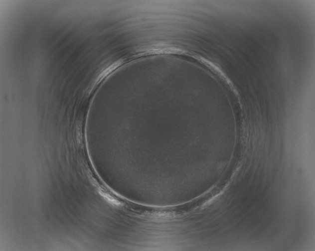 X0000080100889200612151618