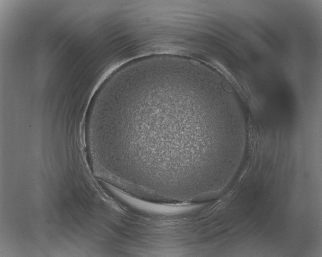 X0000080100891200612151618