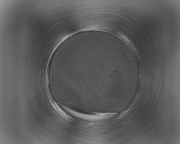 X0000080100892200612151618