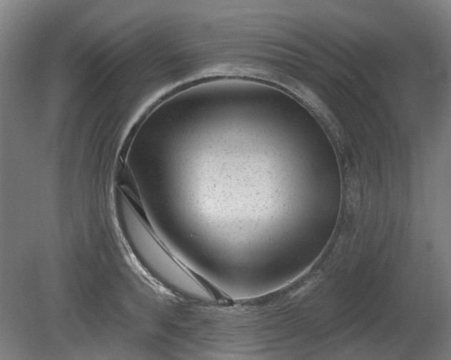X0000080100896200612151618