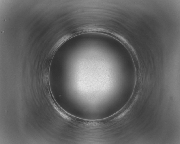 X0000080100897200612151618