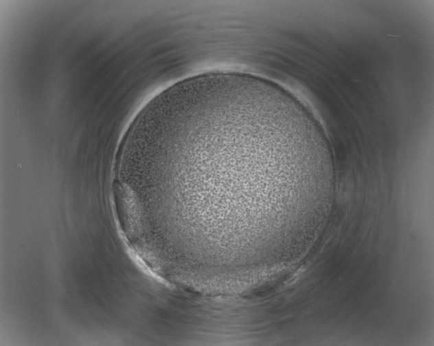 X0000080100903200612151618