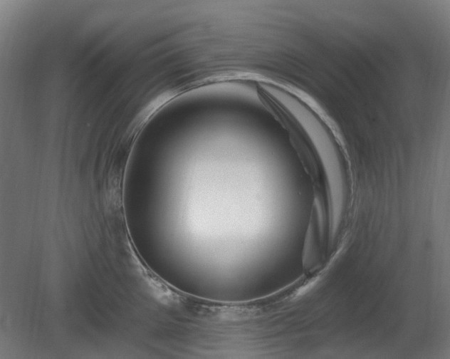X0000080100905200612151618