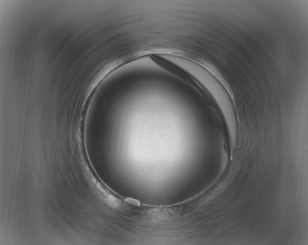 X0000080100906200612151618