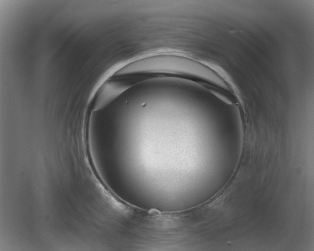 X0000080100910200612151618