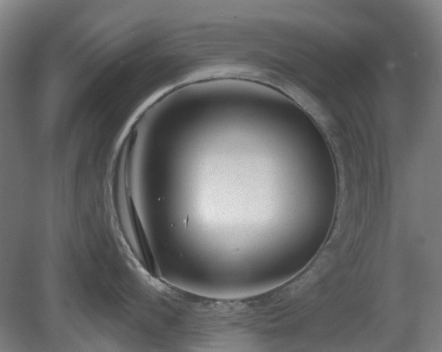 X0000080100912200612151618