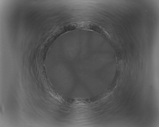 X0000080100913200612151617