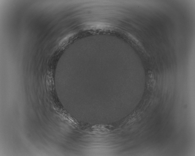 X0000080100918200612151617