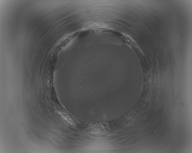 X0000080100919200612151617
