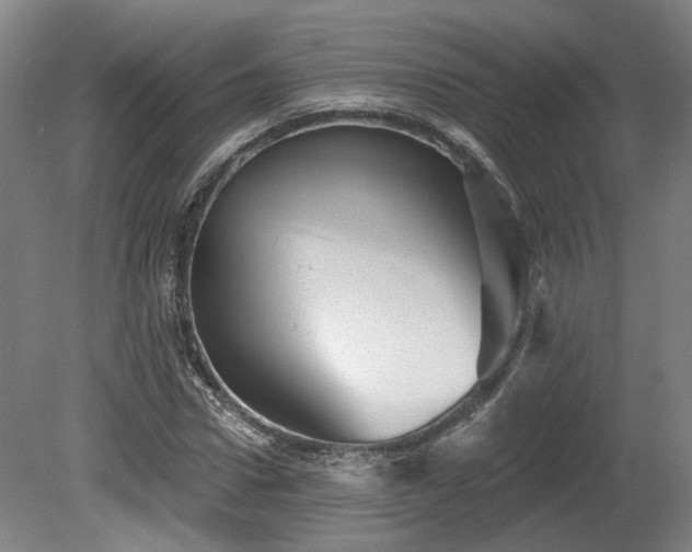 X0000080100922200612151617
