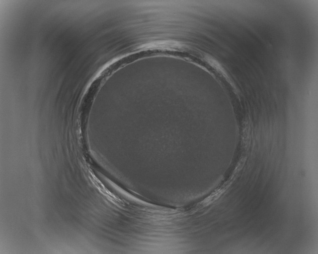 X0000080100923200612151617