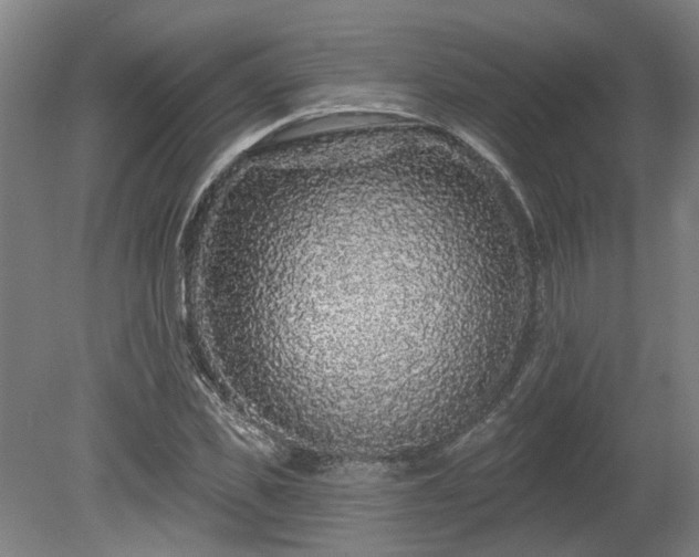 X0000080100925200612151617