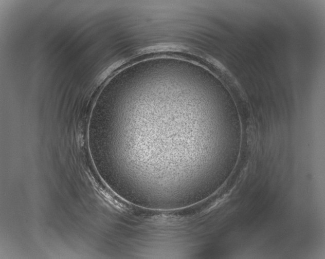 X0000080100929200612151617