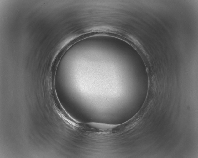 X0000080100931200612151617