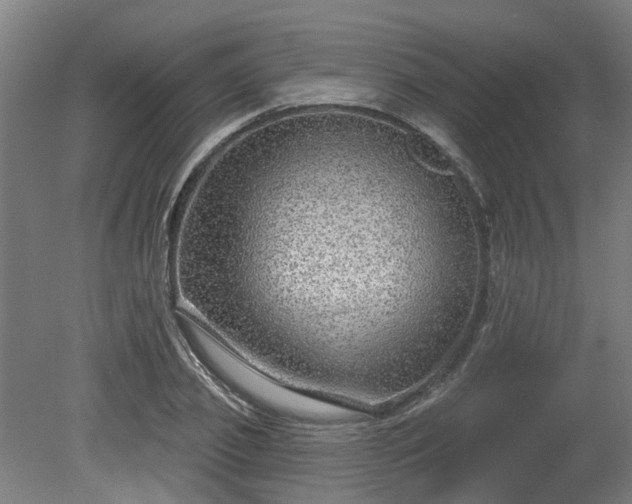 X0000080100933200612151617