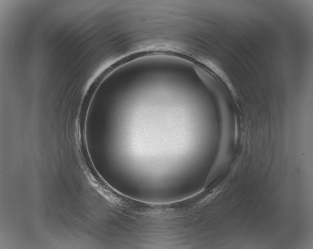 X0000080100936200612151617