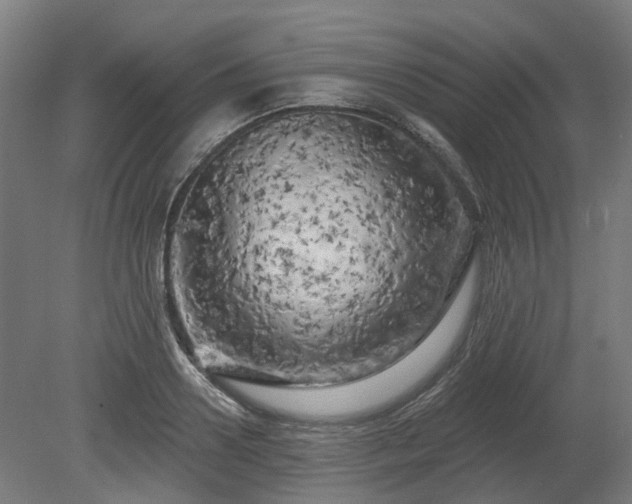 X0000080100938200612151617