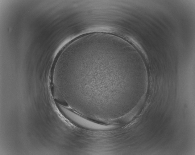 X0000080100944200612151617