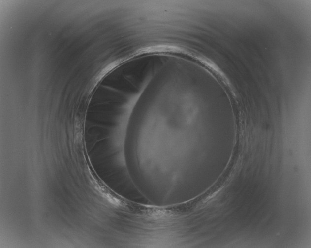 X0000080100945200612151617
