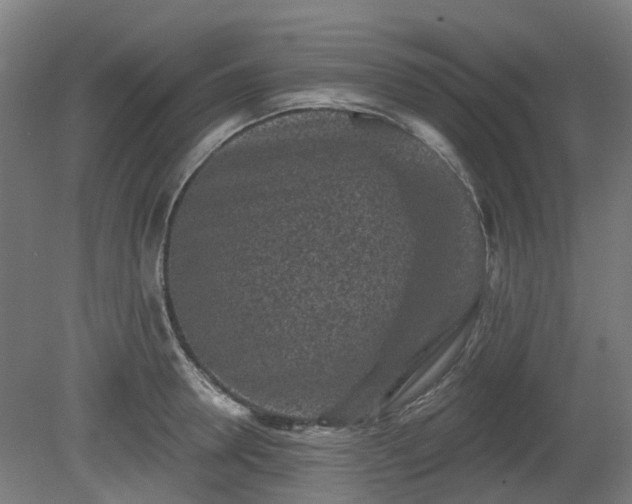 X0000080100946200612151617