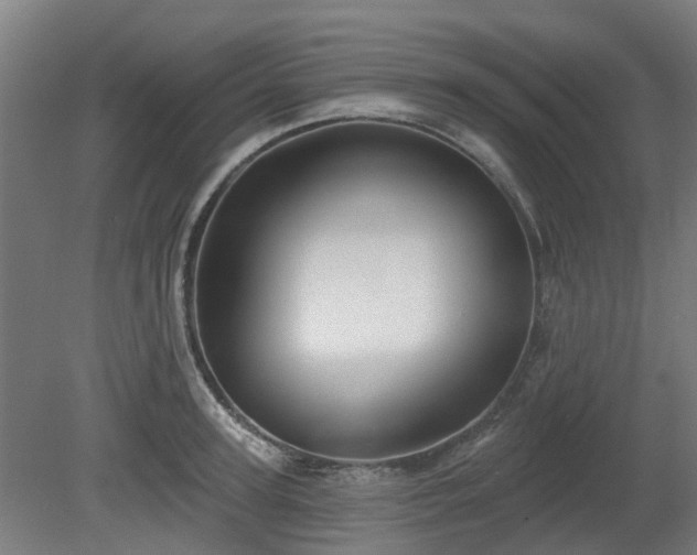 X0000080100947200612151617