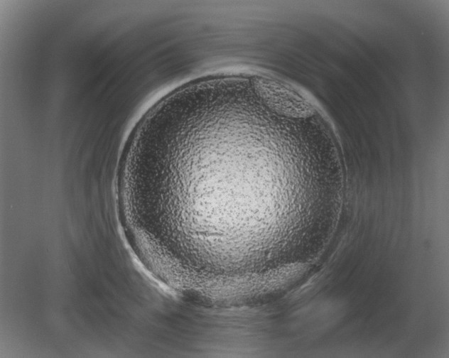 X0000080100951200612151617